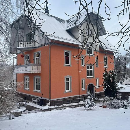 Moderne Ferienwohnung In Alter Villa Georgenthal  Exterior foto
